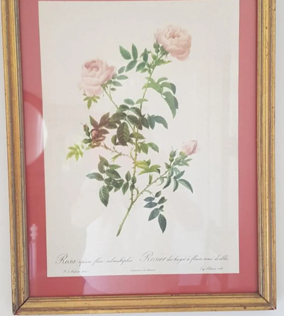 住宿加早餐酒店 Romantische Kamer Nabij Centrum 埃因霍温 荷兰